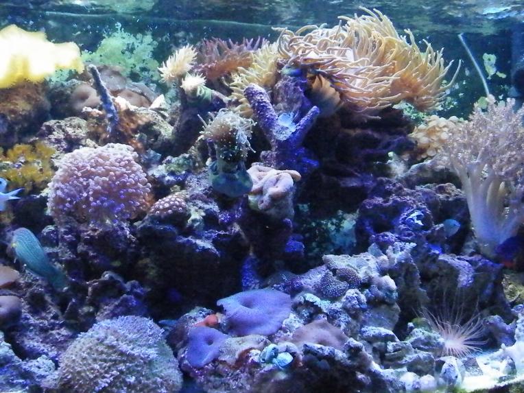 DSCF3059.jpg