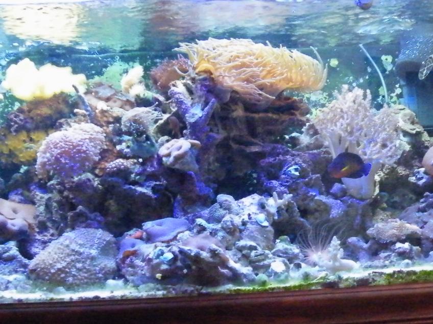 DSCF3093.jpg