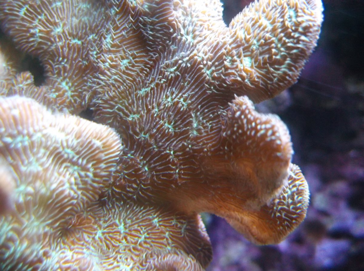 DSCF3586.JPG