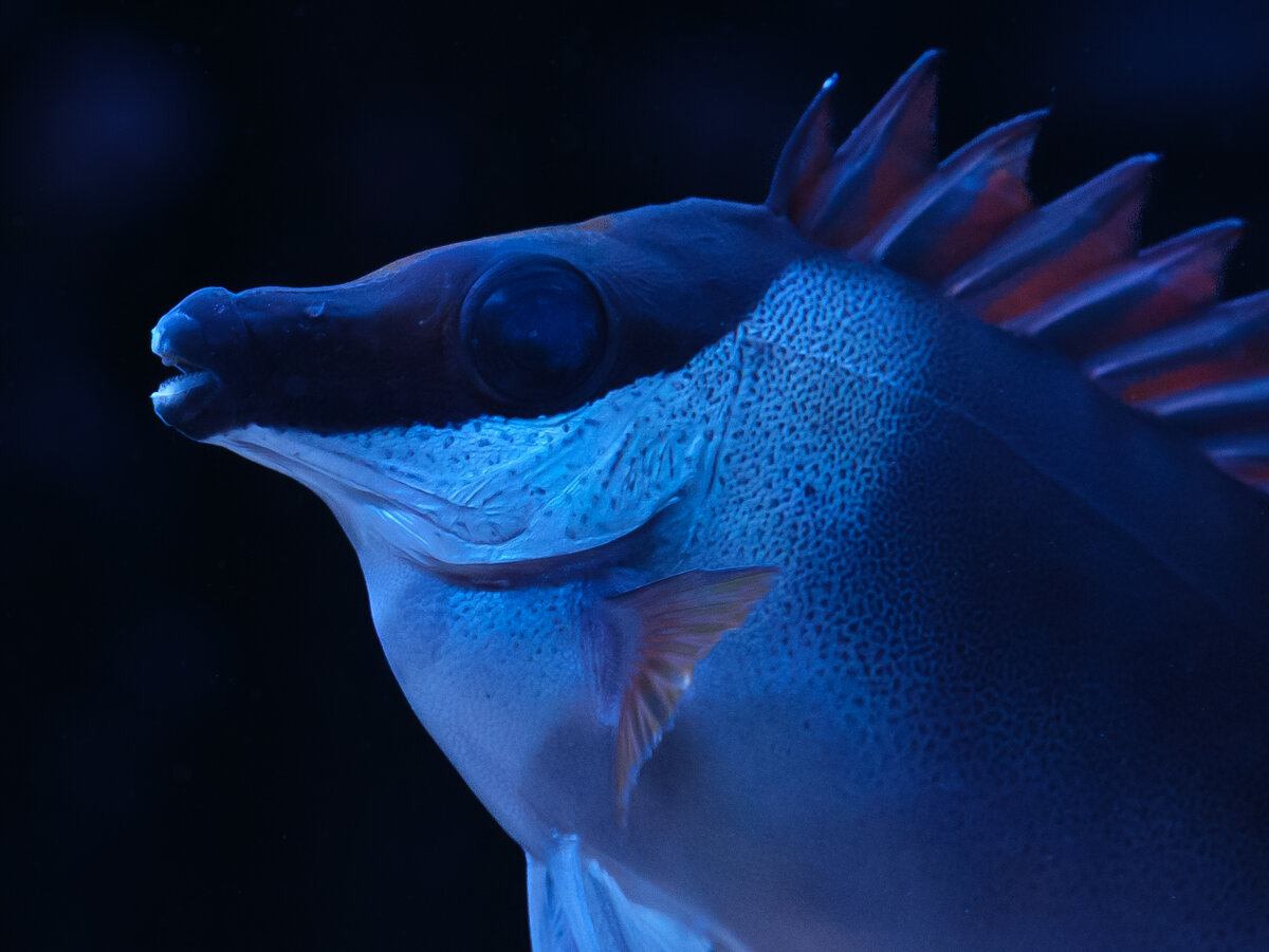 DSCF3959-3.jpg