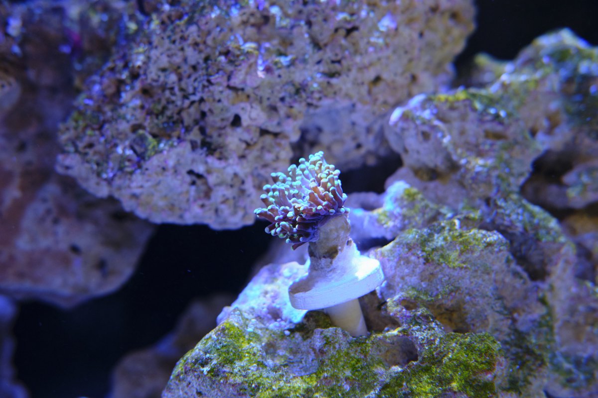 DSCF4105.jpg