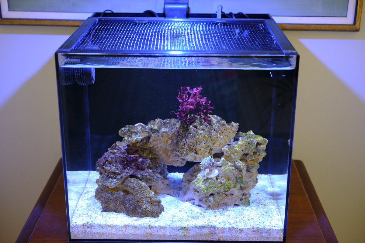 DSCF4123.jpg
