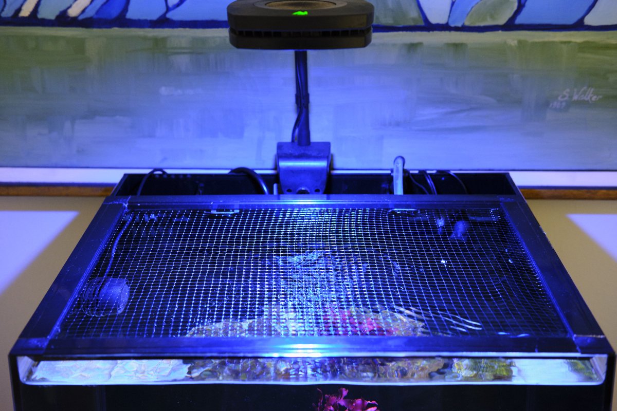 DSCF4127.jpg
