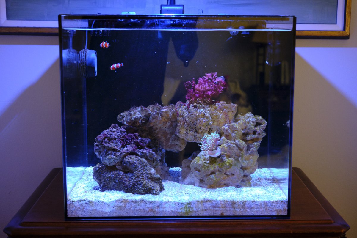 DSCF4132.jpg