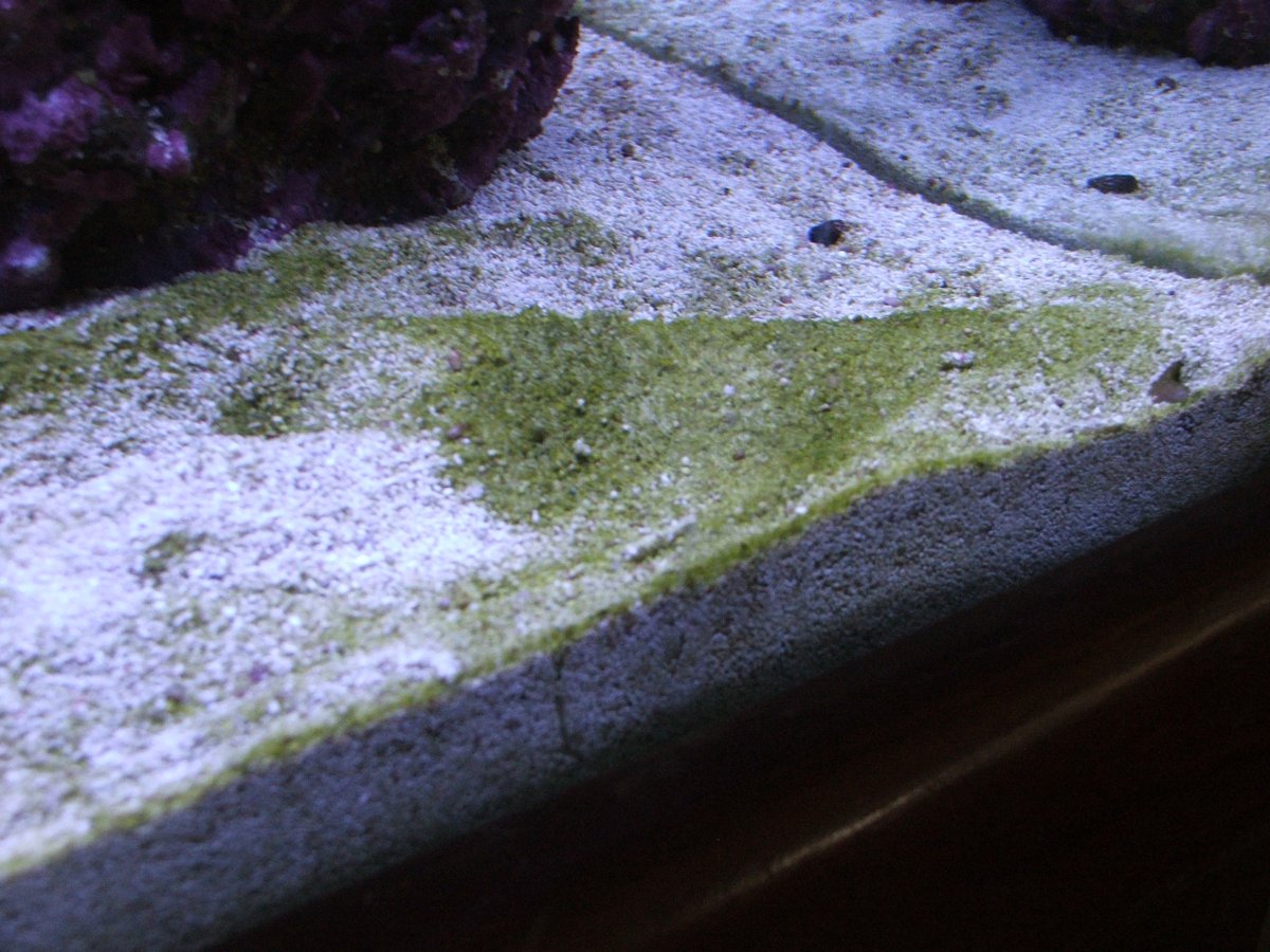 DSCF4290.JPG