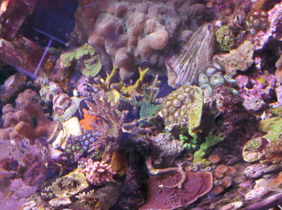 DSCF4665.JPG