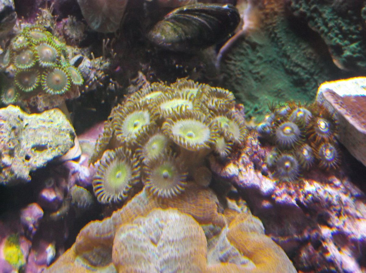 DSCF4719.JPG