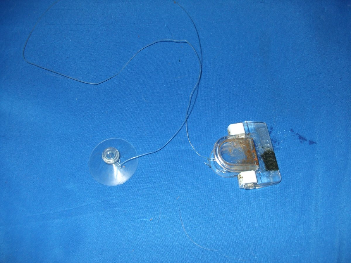 DSCF5382.JPG