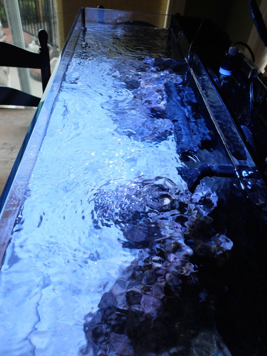 DSCF5649.jpg