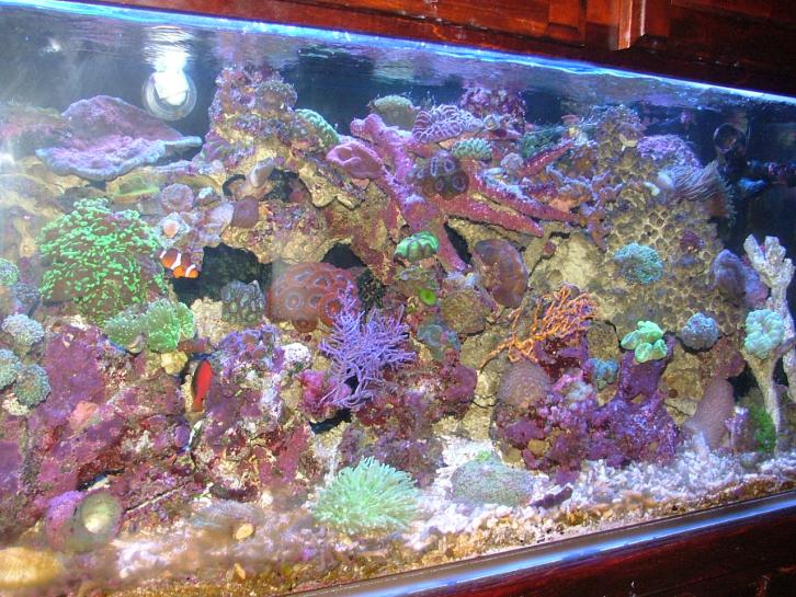 DSCF5694.jpg