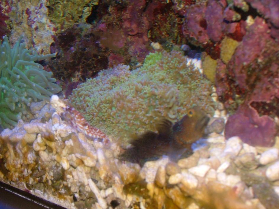 DSCF5709.jpg