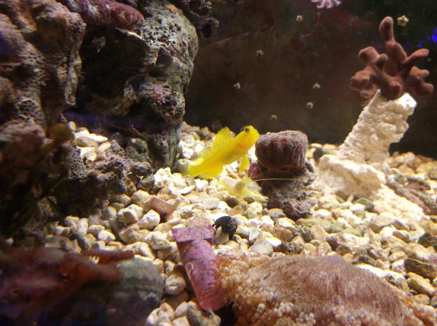 DSCF6236.jpg