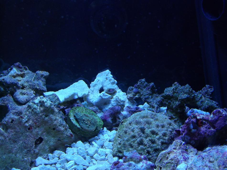 DSCF6301.jpg
