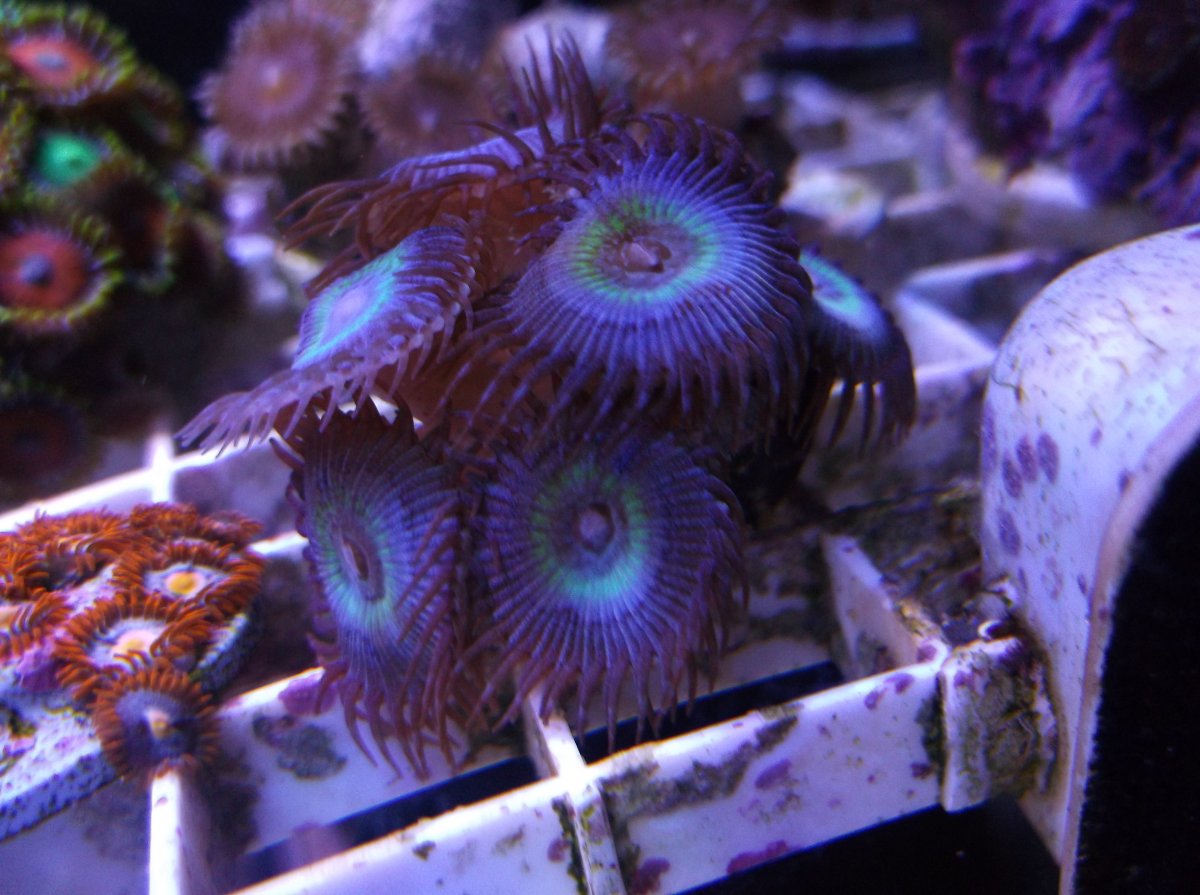 DSCF7013.JPG