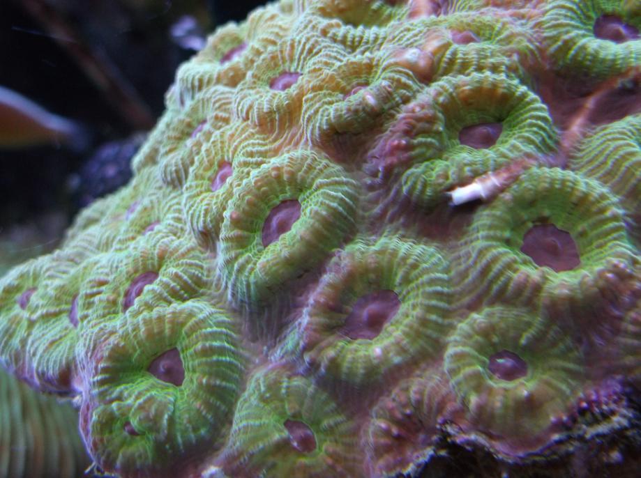 DSCF7023.jpg