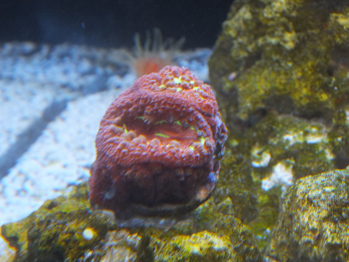 DSCF7092.JPG