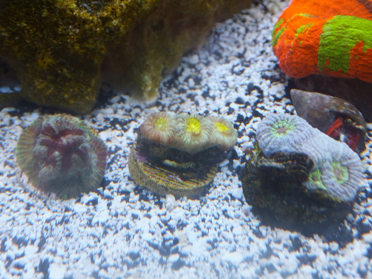 DSCF7159.JPG