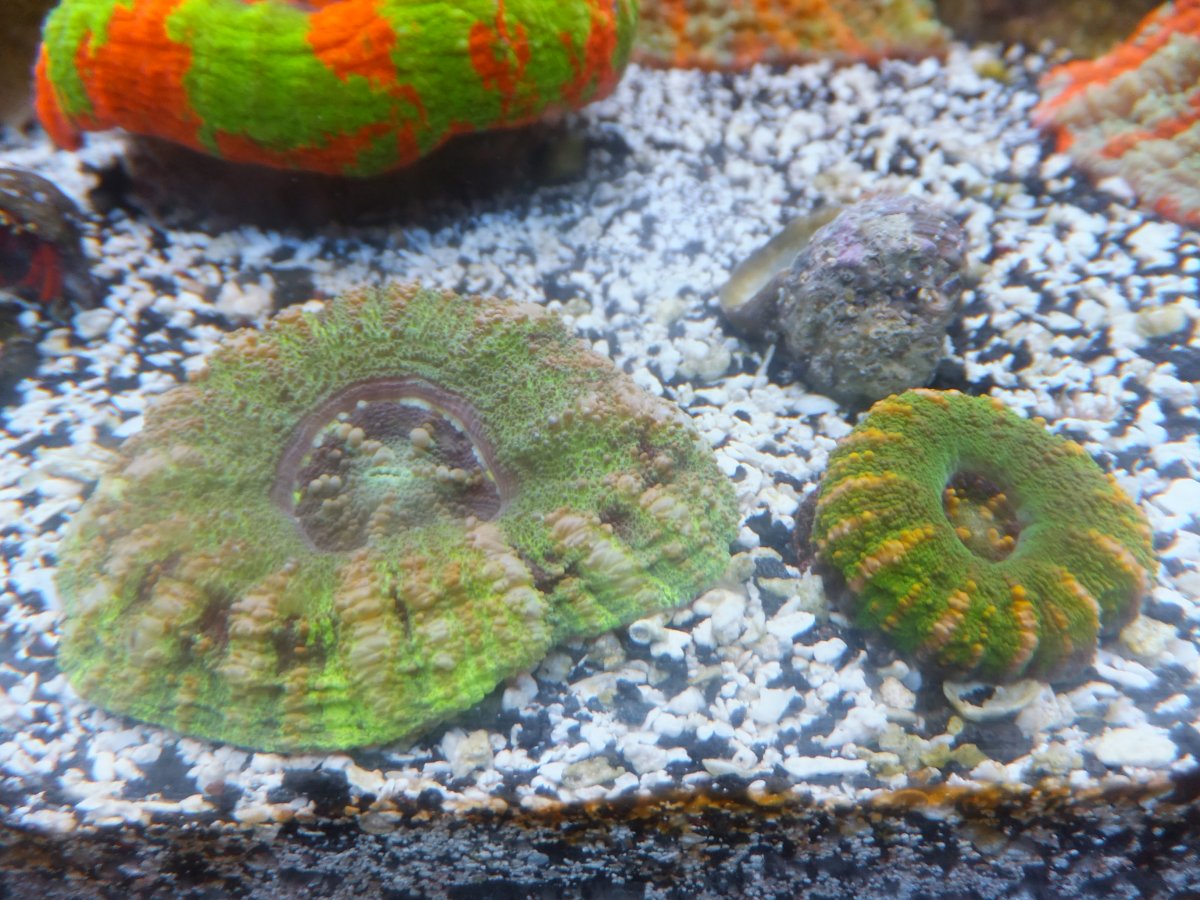 DSCF7160.JPG