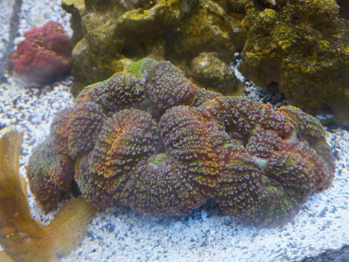 DSCF7164.JPG