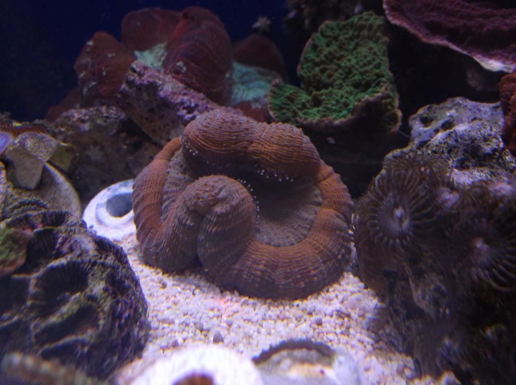 DSCF8154.jpg
