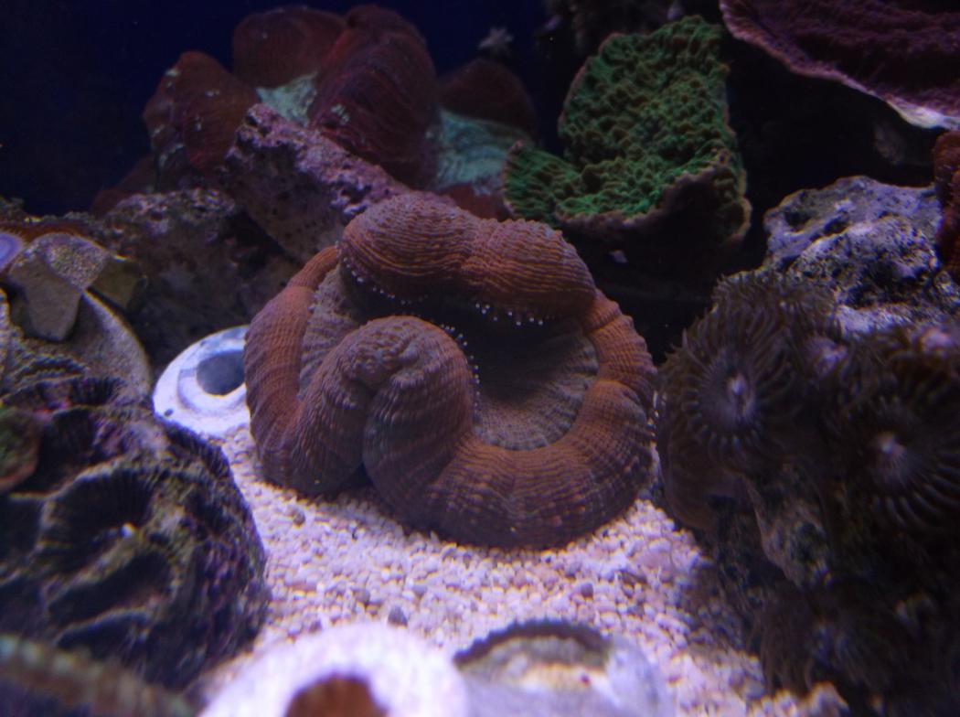 DSCF8155.jpg