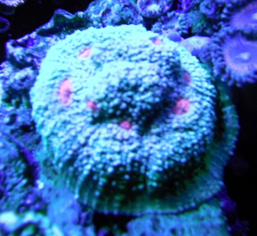 DSCF8166.jpg