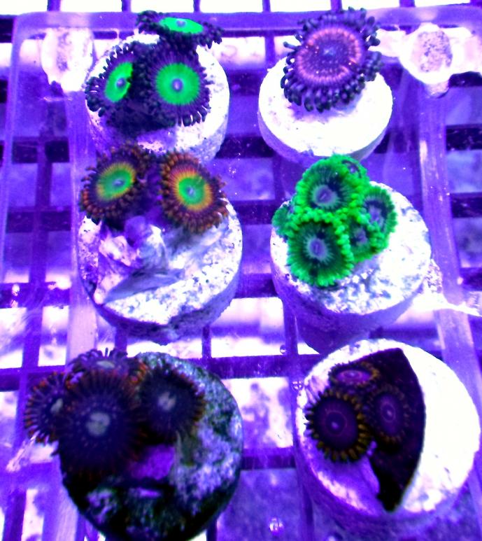 DSCF8227.jpg