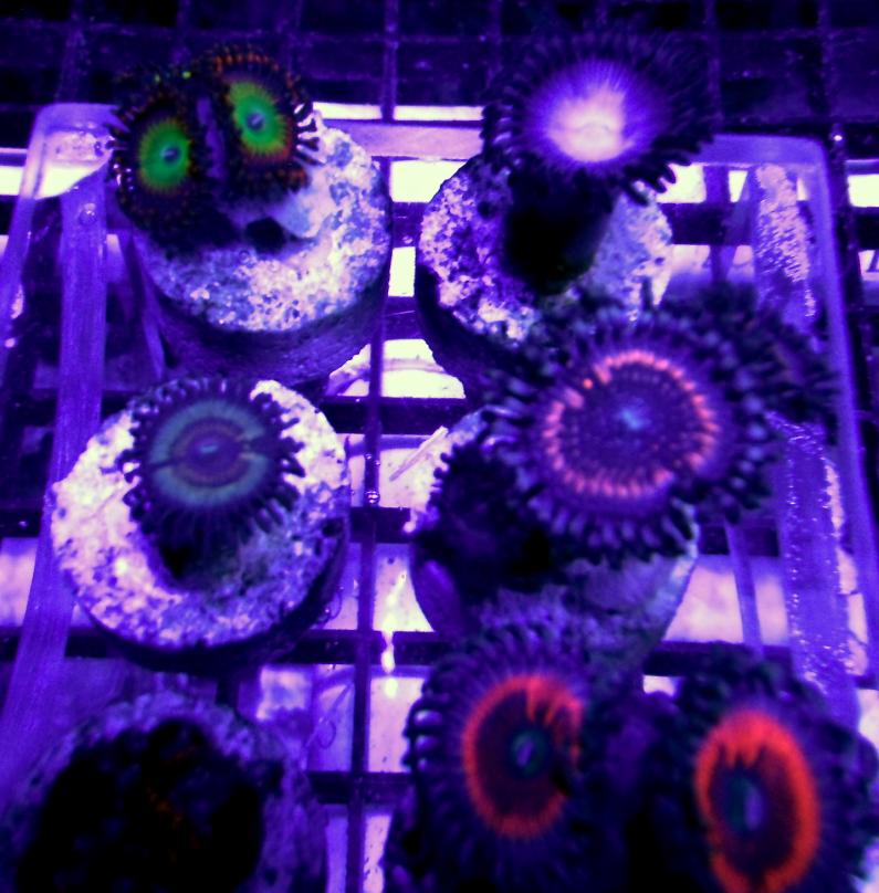 DSCF8229.jpg