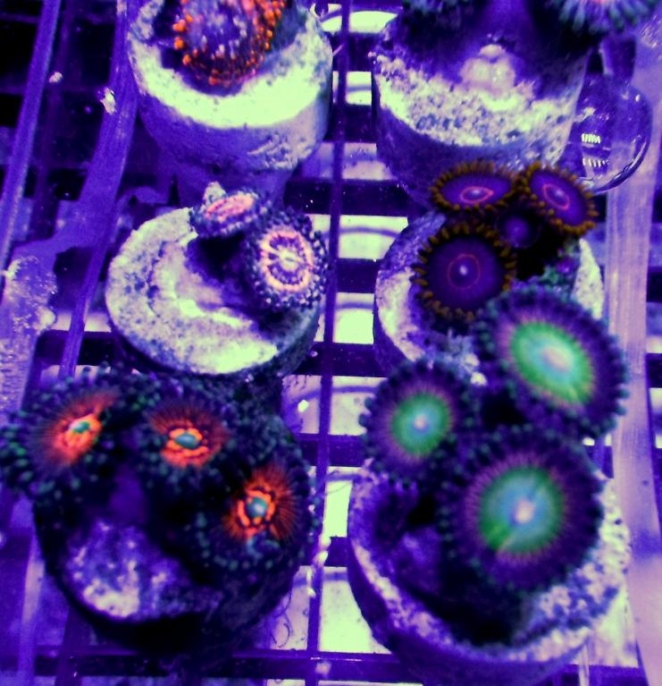 DSCF8231.jpg