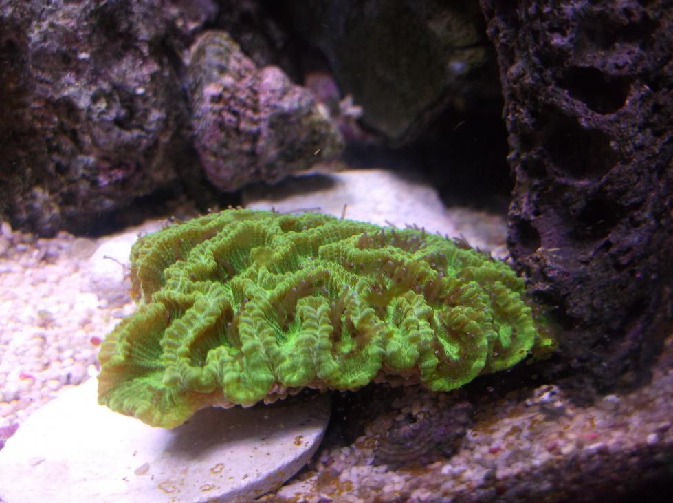 DSCF8232.jpg