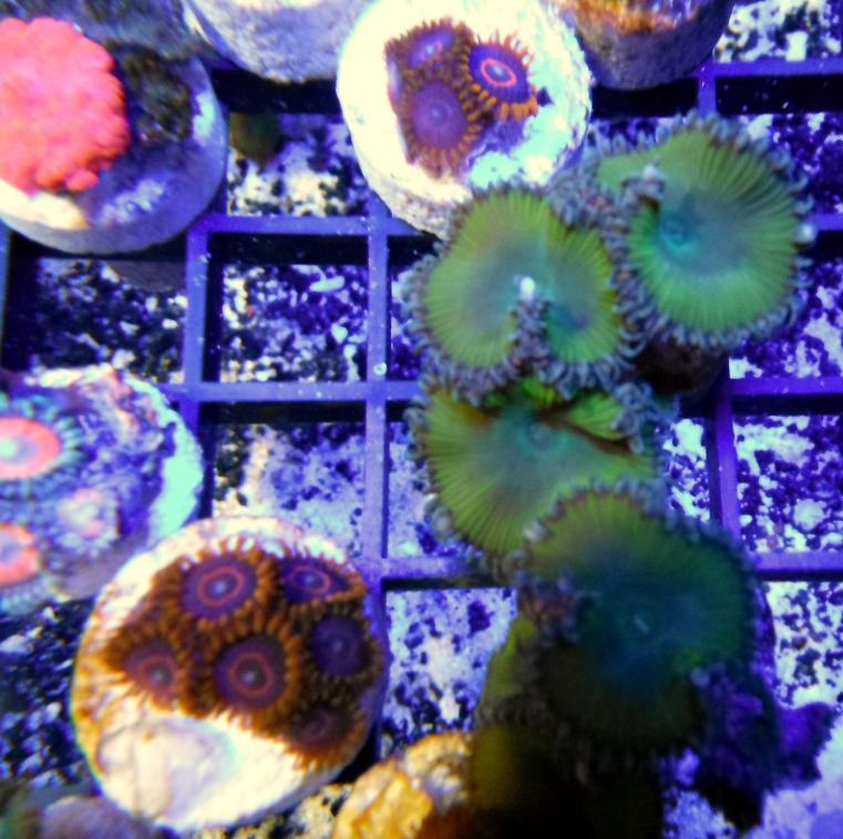 DSCF8276.jpg