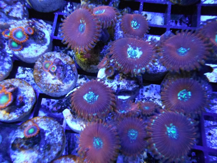 DSCF8278.jpg