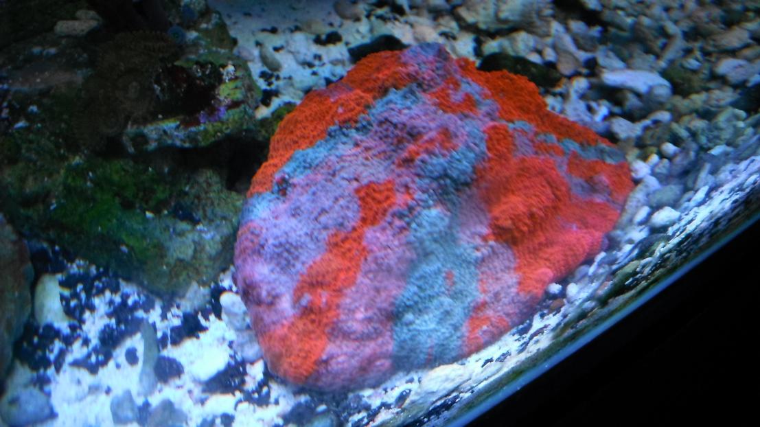 DSCF8637.jpg