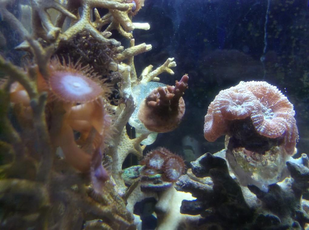 DSCF8758.jpg