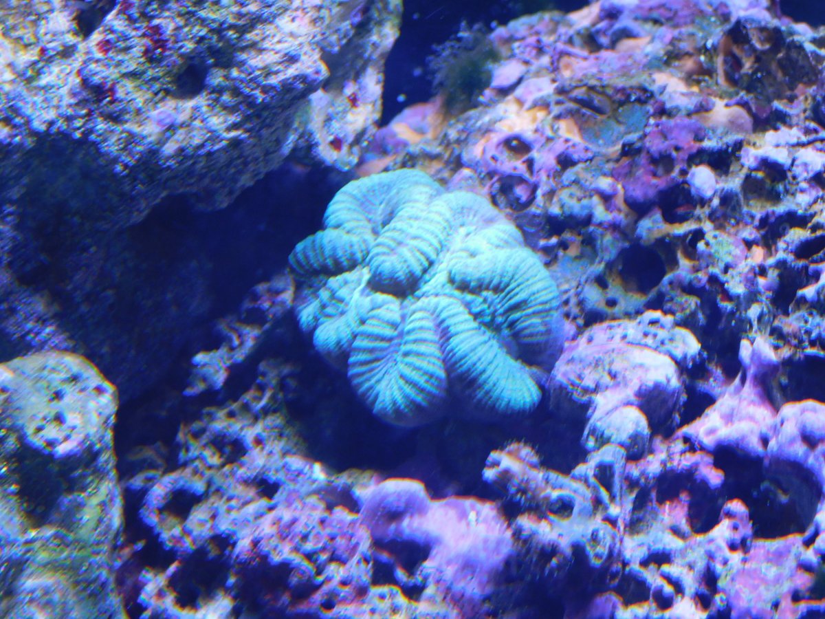DSCN0042.JPG