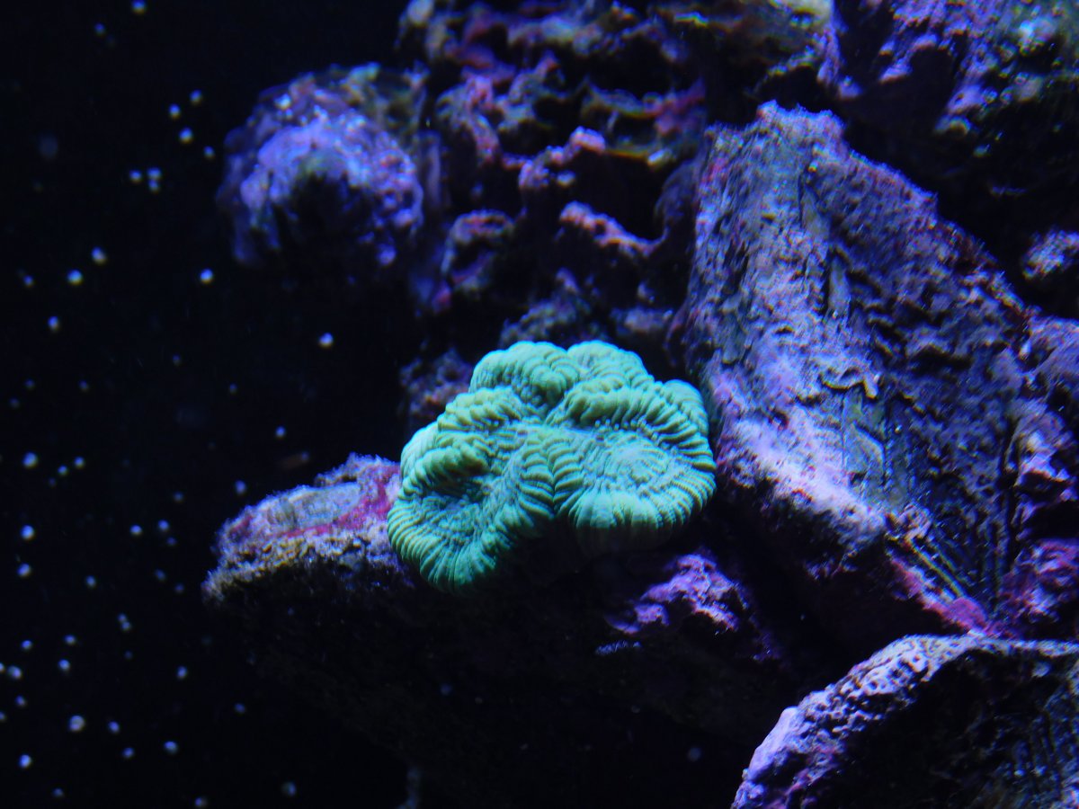 DSCN0045.JPG