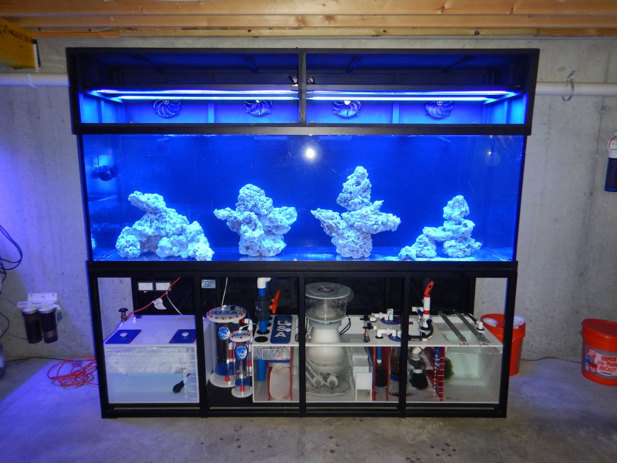 First impression of the Aquatic Life T5 LED Hybrid light | Page 3 ...