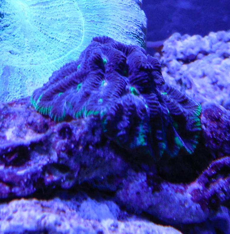 DSCN0133-1.jpg