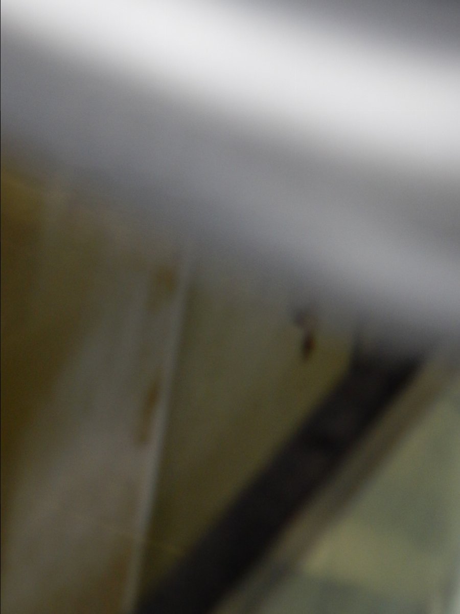 DSCN0136.JPG