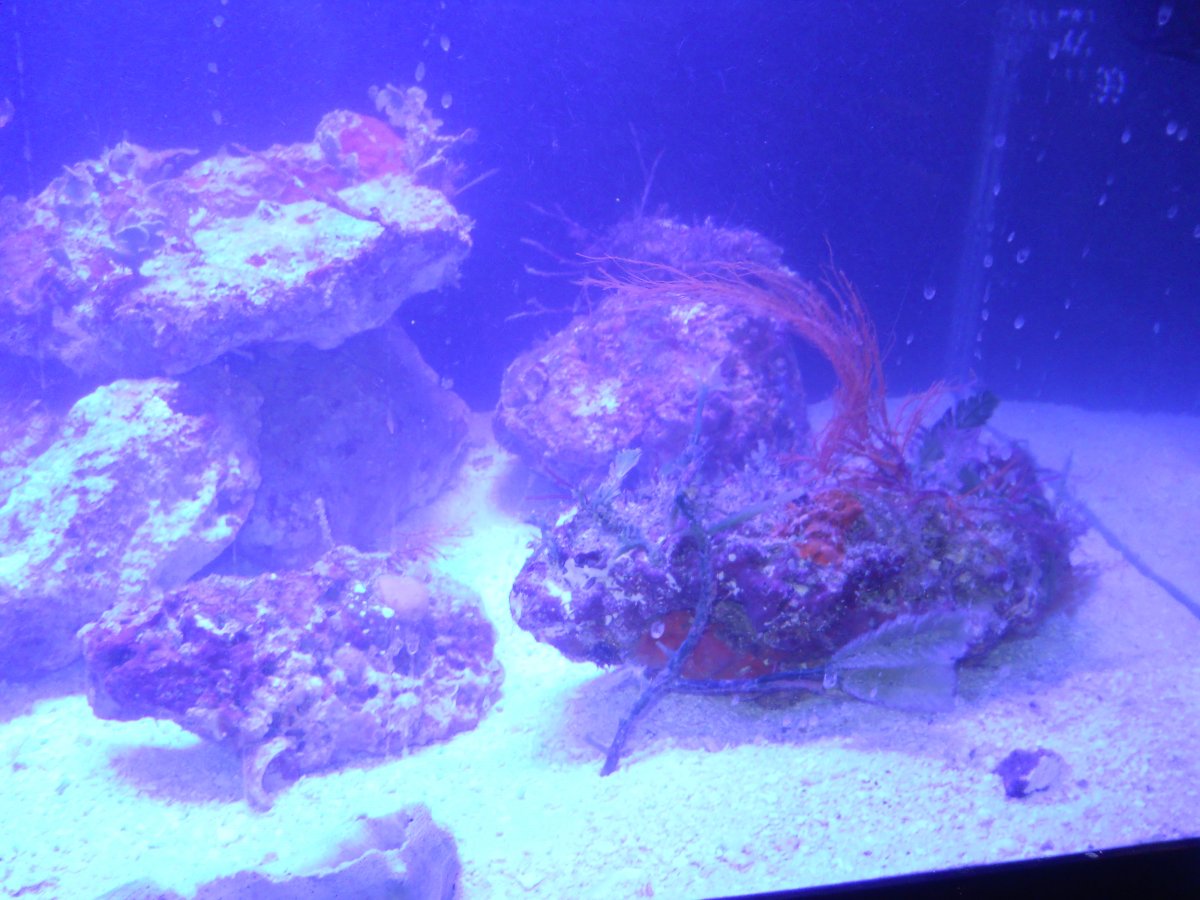 DSCN0345.JPG