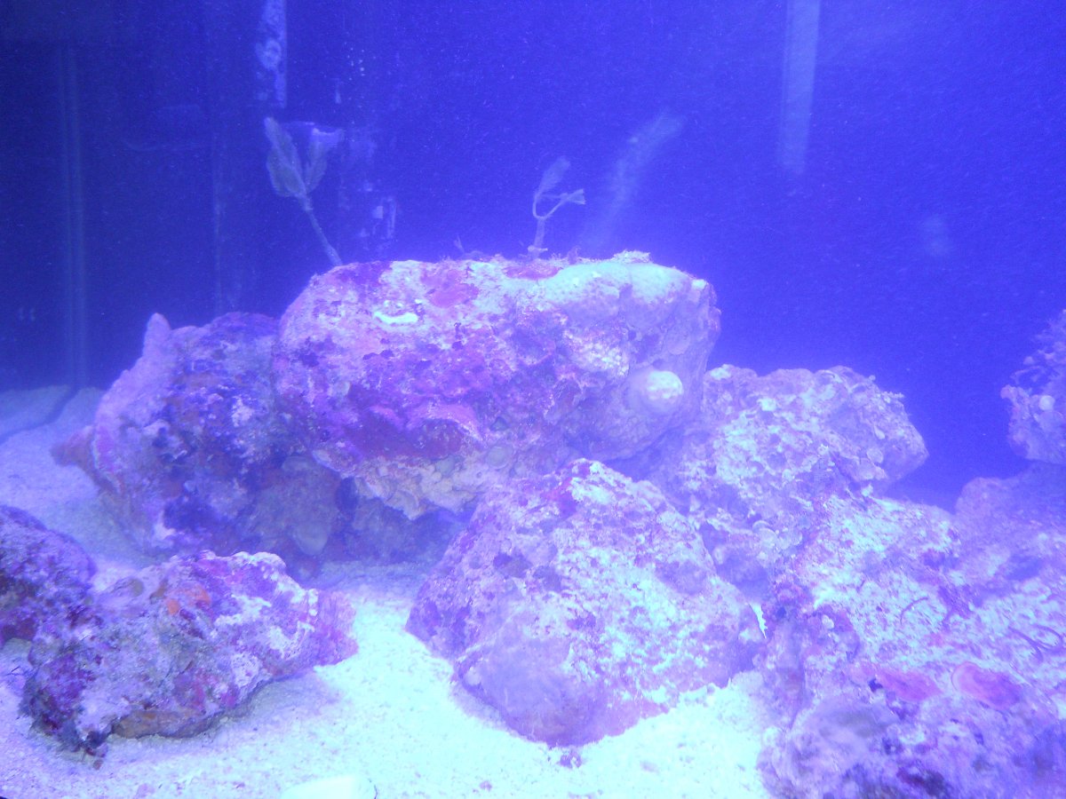 DSCN0346.JPG