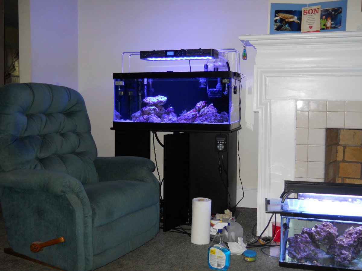 DSCN0396.JPG