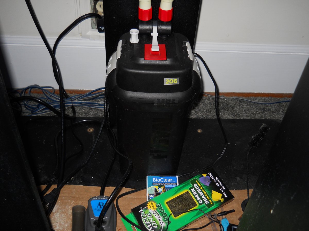 DSCN0398.JPG