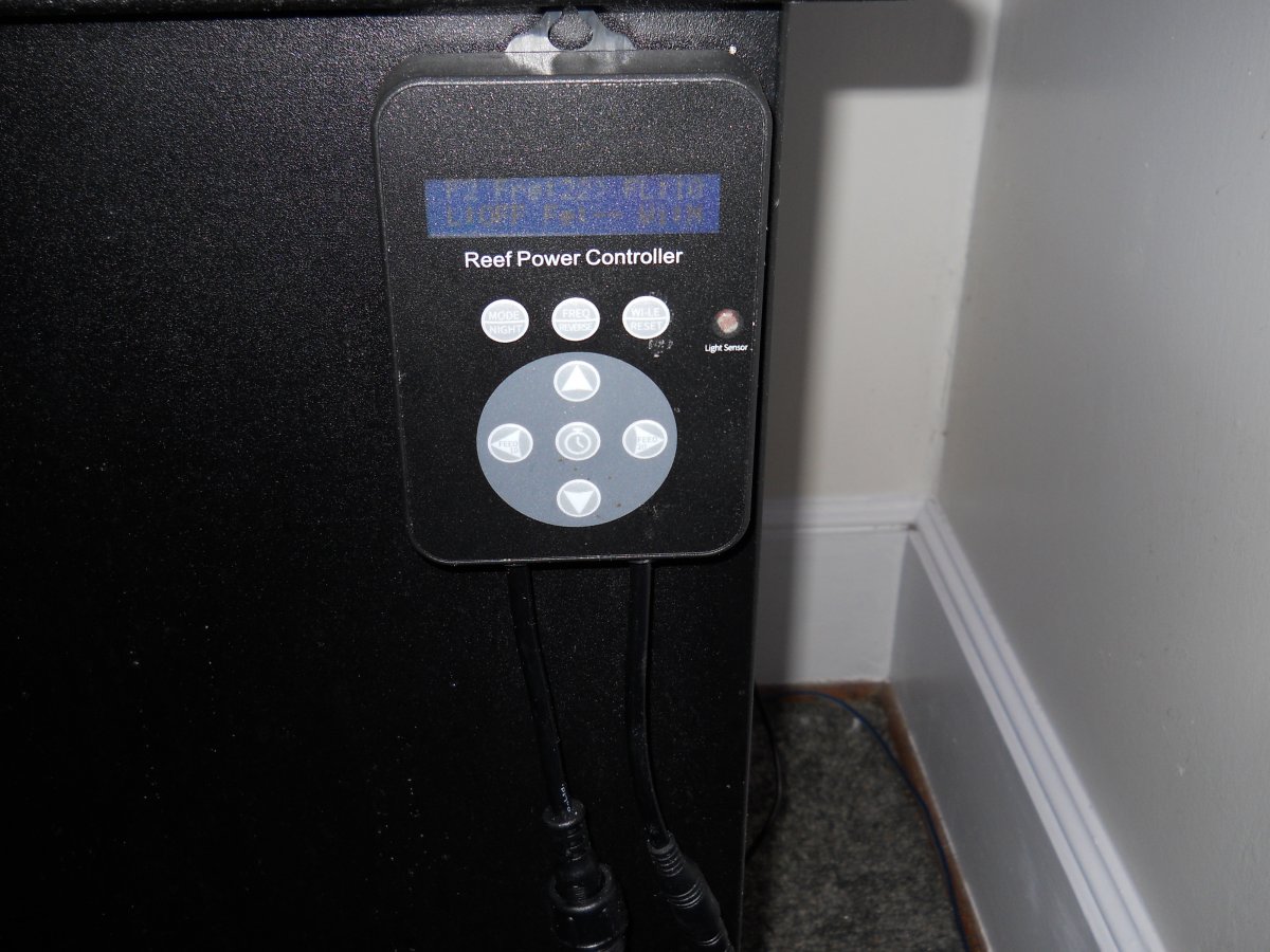 DSCN0399.JPG