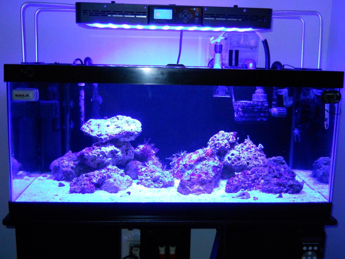 DSCN0403.JPG