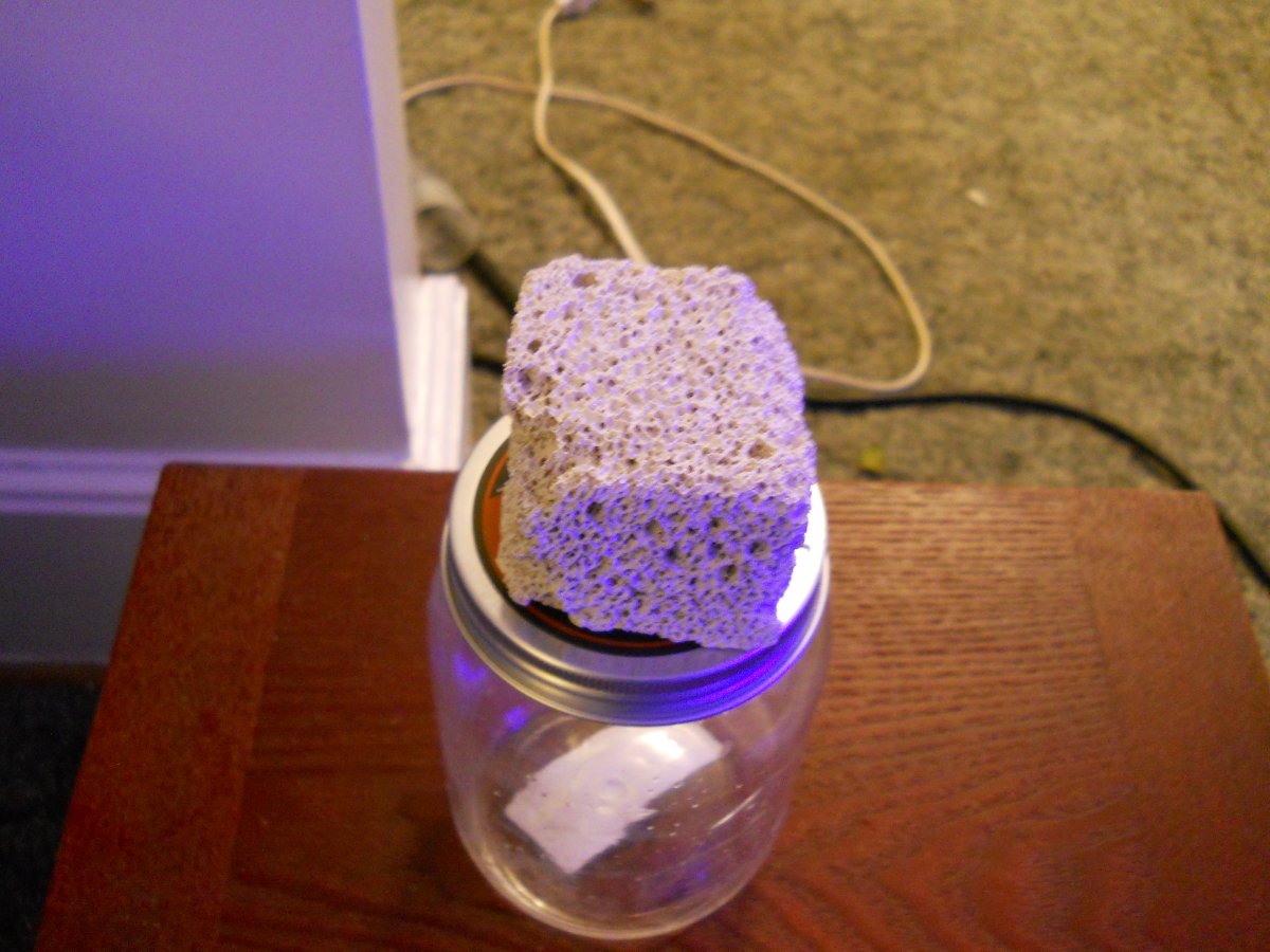 DSCN0408.JPG