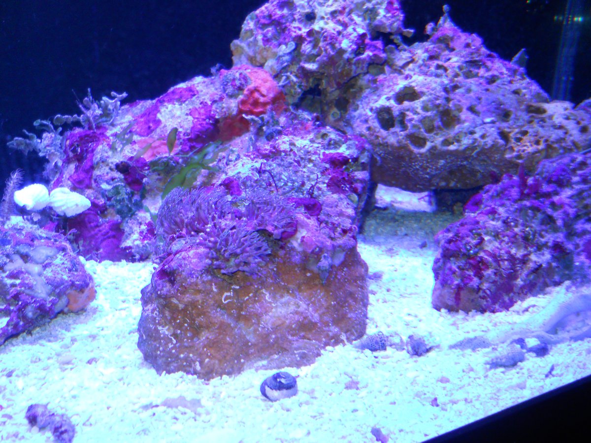 DSCN0411.JPG