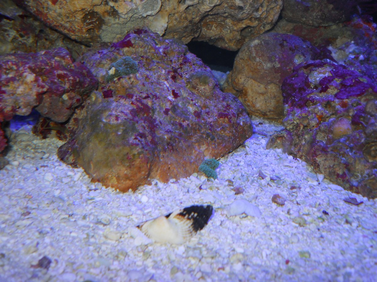 DSCN0412.JPG