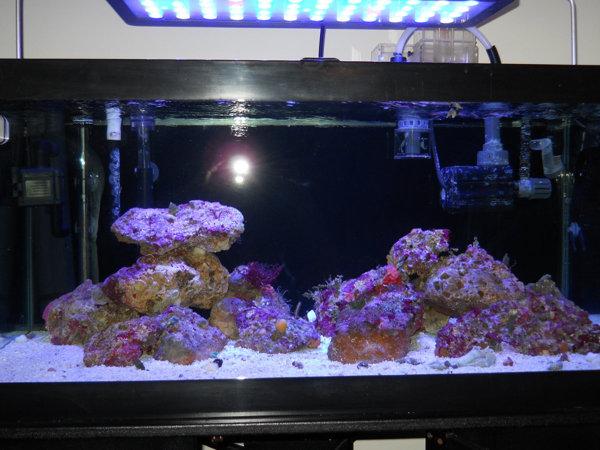 DSCN0415.JPG