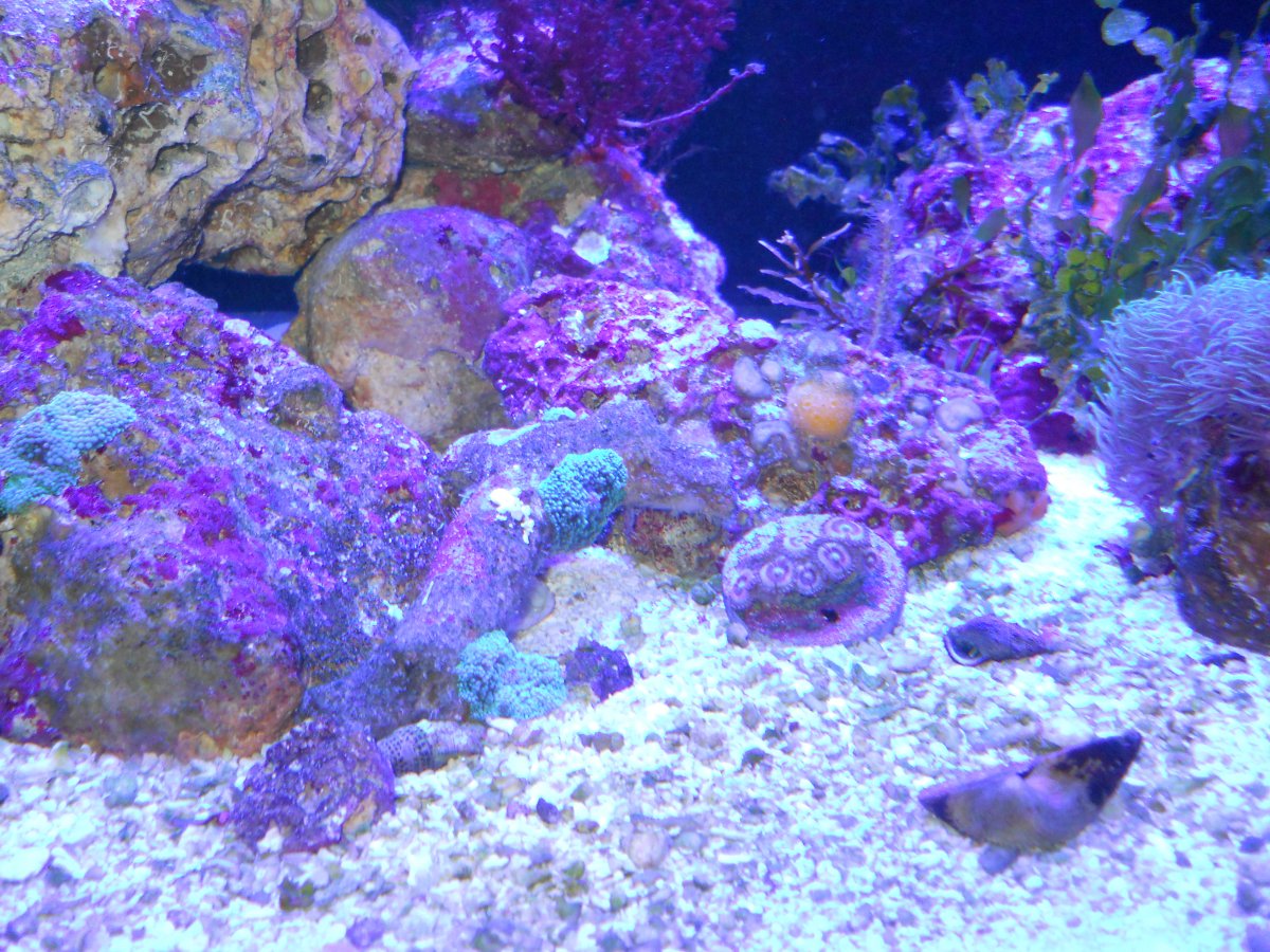 DSCN0505.JPG